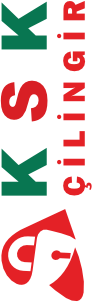 Anasayfa 1 DIK LOGO